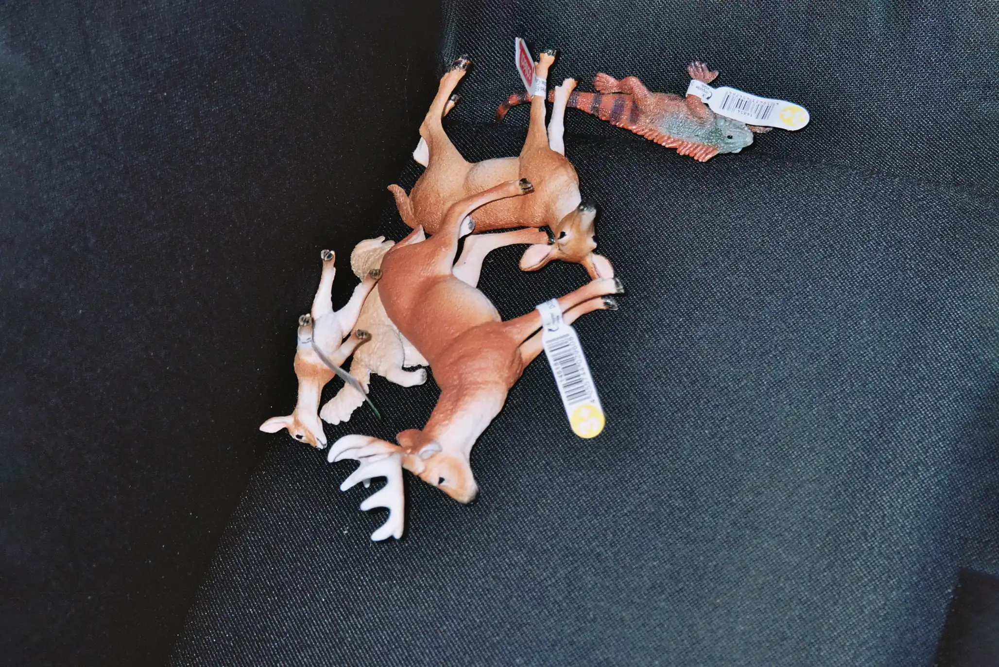Still Life, 2025